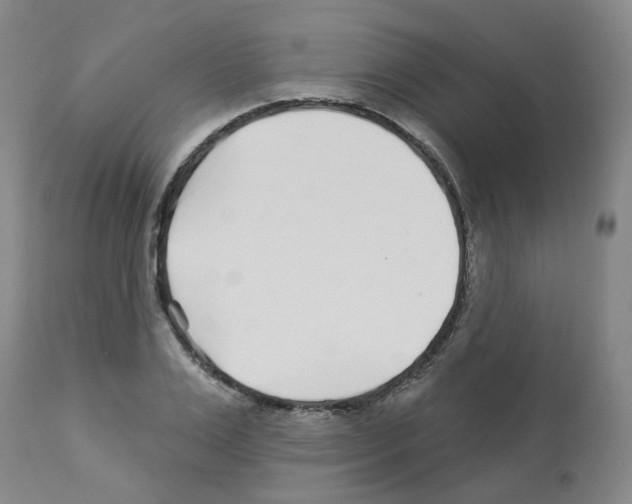 X0000112940983200910051151