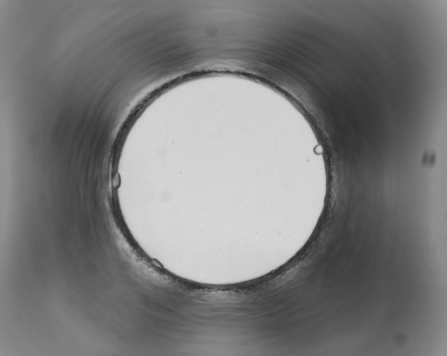 X0000112940984200910051151