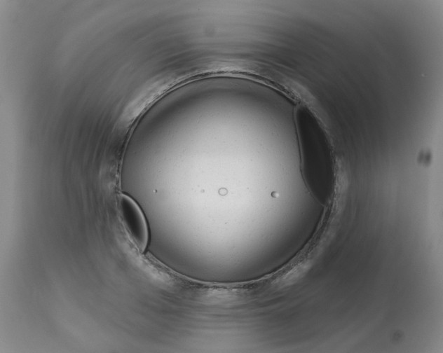 X0000112940985200910051151