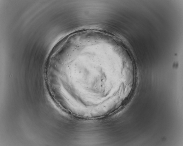 X0000112940989200910051151