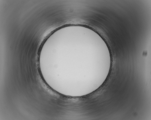 X0000112940990200910051151