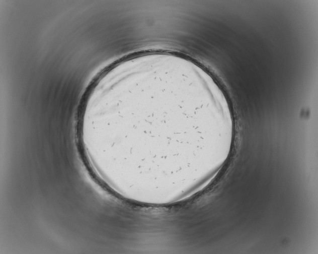 X0000112940991200910051151