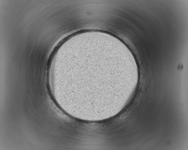 X0000112940992200910051151