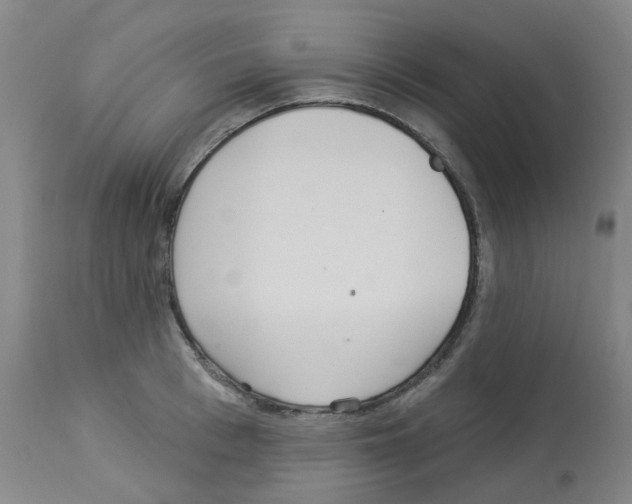 X0000112940993200910051151