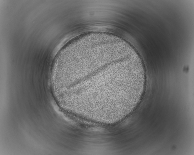 X0000112940994200910051151