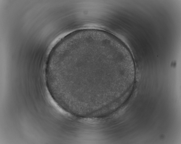 X0000112940995200910051151