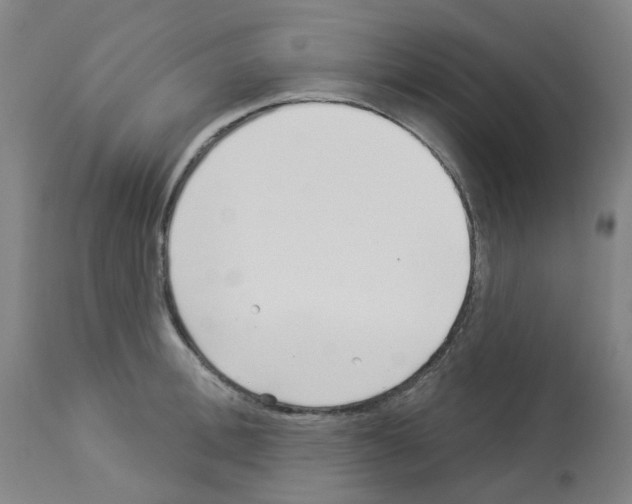 X0000112940996200910051151