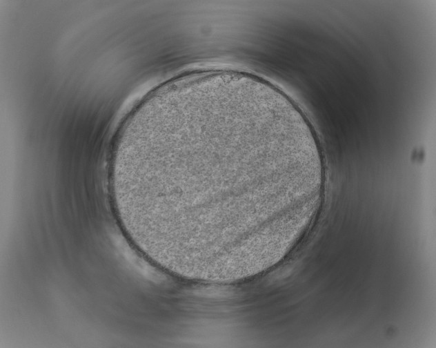 X0000112940998200910051151
