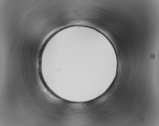 X0000112940999200910051151