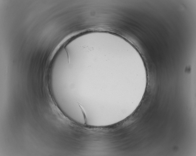 X0000112941000200910051151