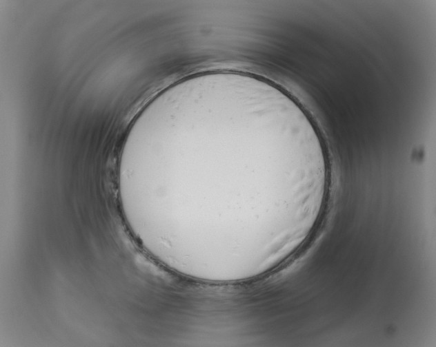 X0000112941001200910051151