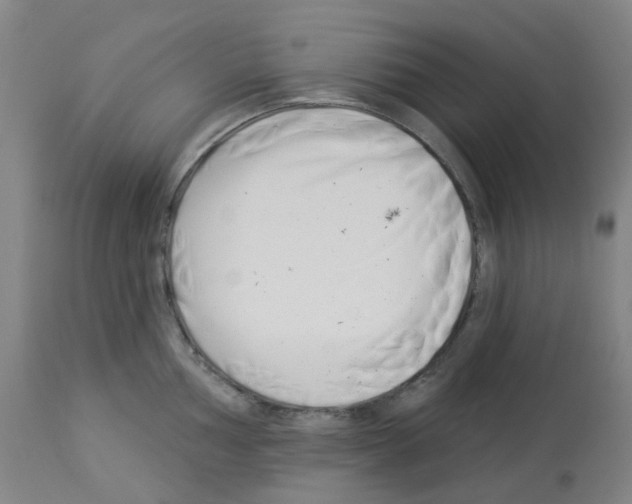 X0000112941002200910051151