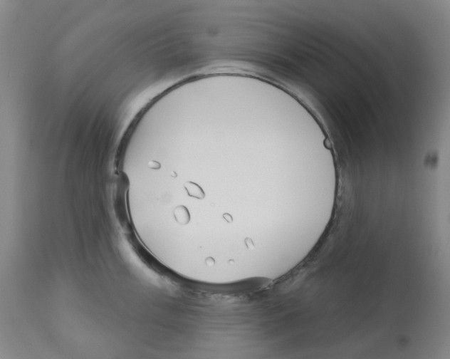 X0000112941003200910051151