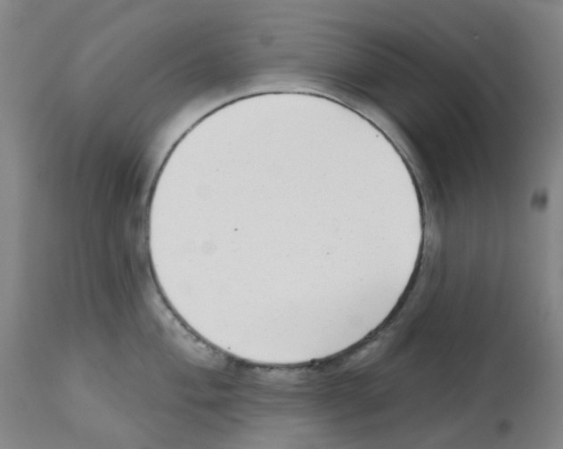 X0000112941004200910051151