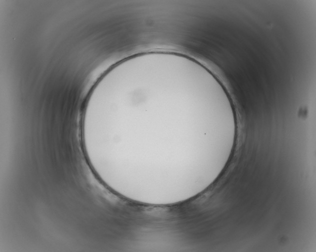 X0000112941006200910051151
