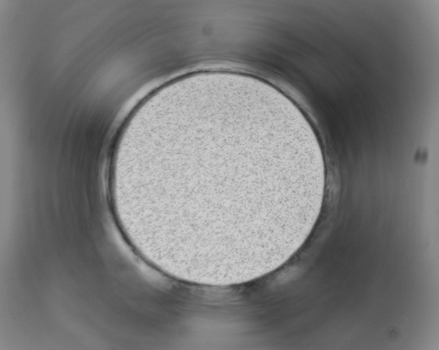 X0000112941007200910051151