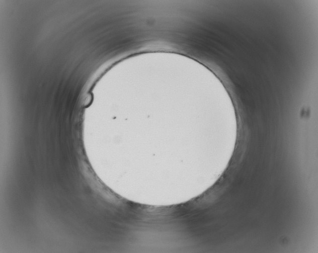 X0000112941008200910051151