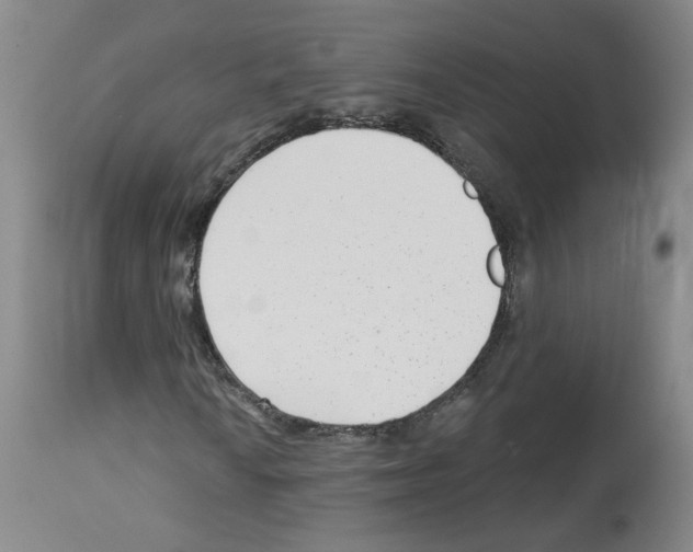 X0000112941010200910051150