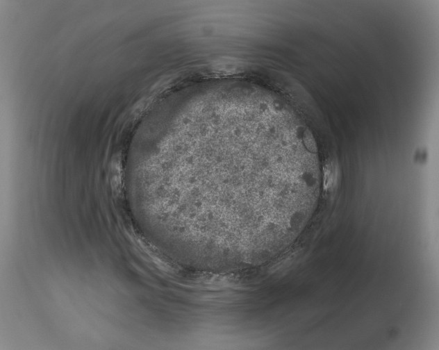 X0000112941011200910051150