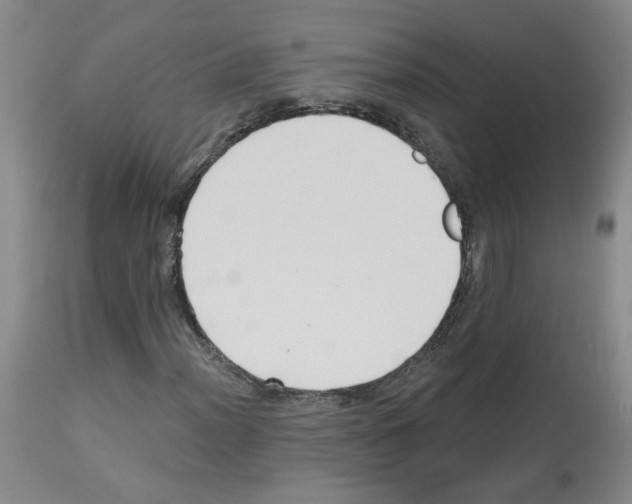 X0000112941012200910051150