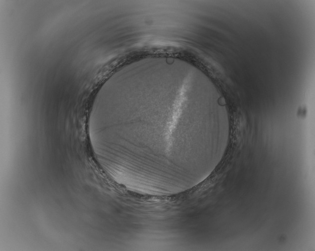 X0000112941013200910051150