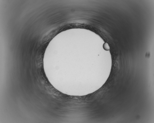 X0000112941014200910051150
