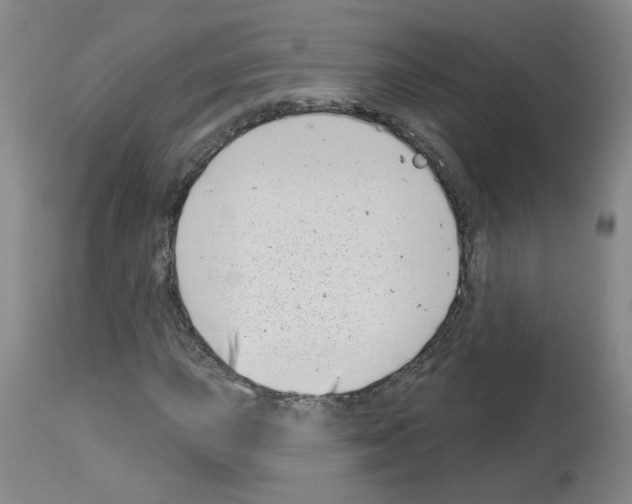 X0000112941015200910051150