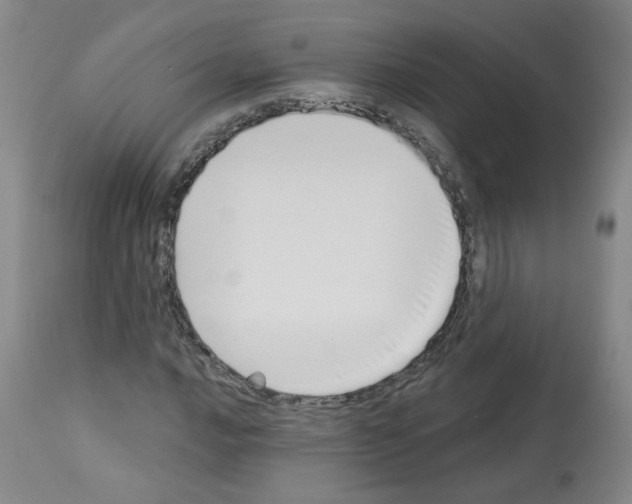 X0000112941016200910051150