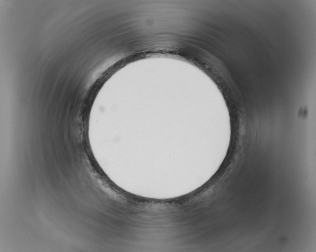 X0000112941018200910051150