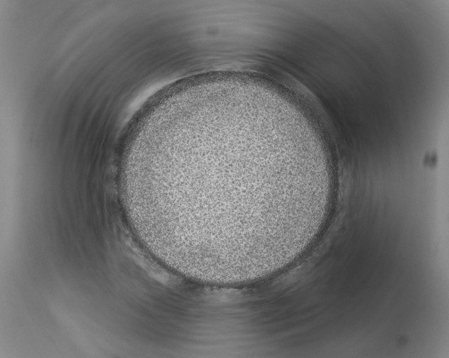 X0000112941019200910051150