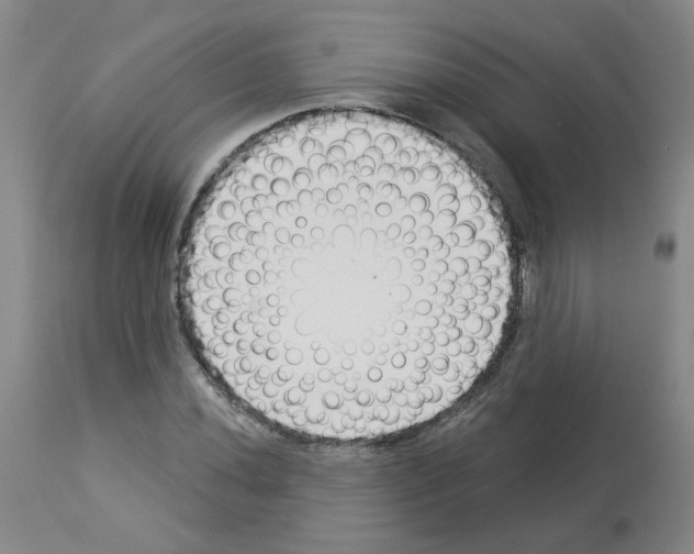 X0000112941020200910051150