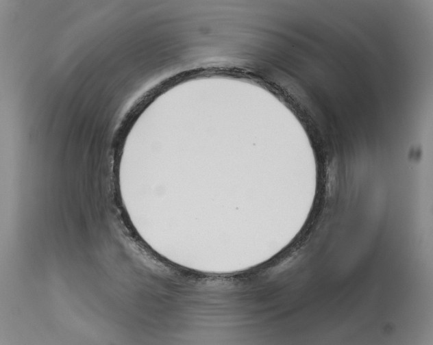 X0000112941021200910051150