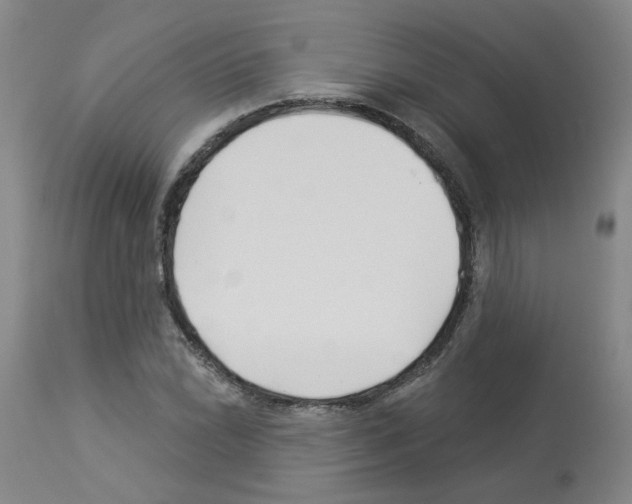 X0000112941022200910051150