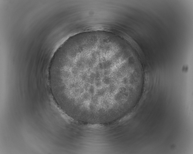X0000112941023200910051150