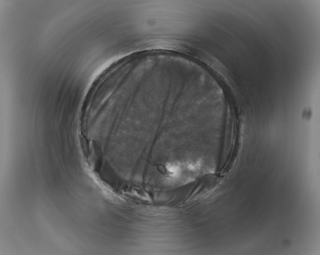 X0000112941024200910051150