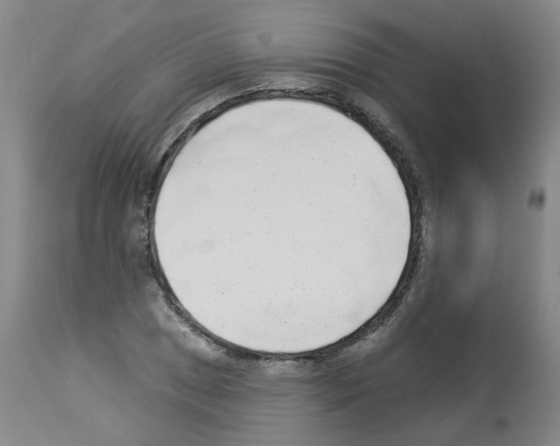 X0000112941025200910051150