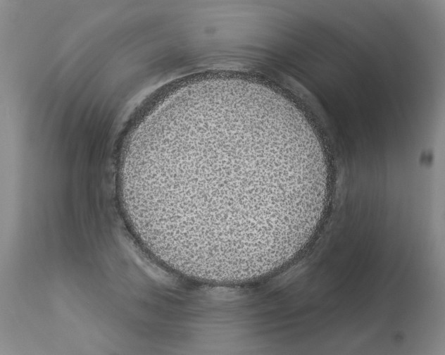 X0000112941027200910051150