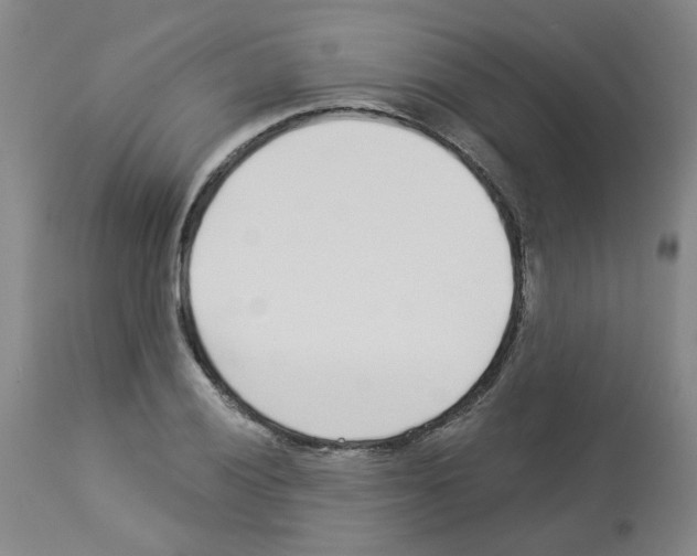 X0000112941028200910051150