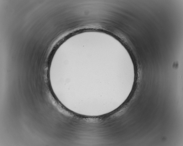X0000112941029200910051150