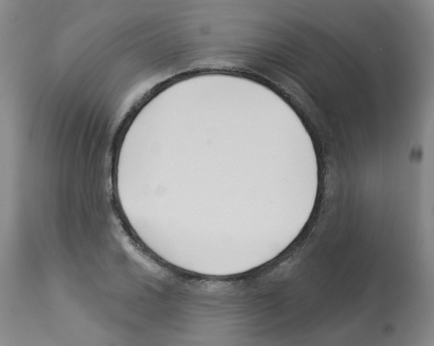 X0000112941030200910051150