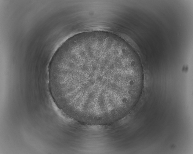 X0000112941031200910051150