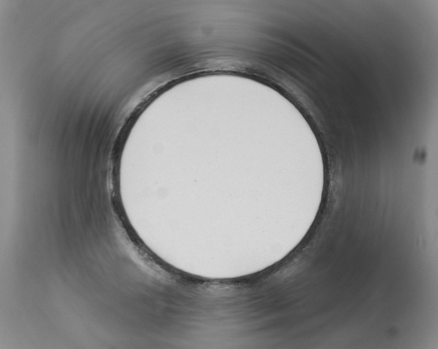 X0000112941034200910051150