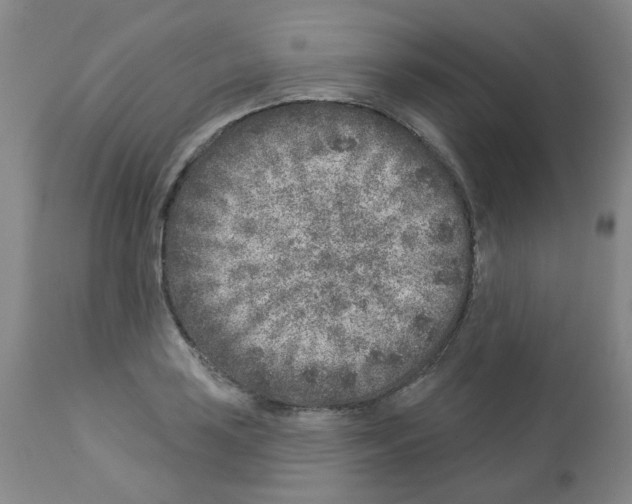 X0000112941035200910051150