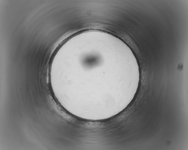 X0000112941036200910051150