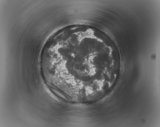 X0000112941037200910051150