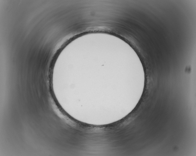 X0000112941038200910051150
