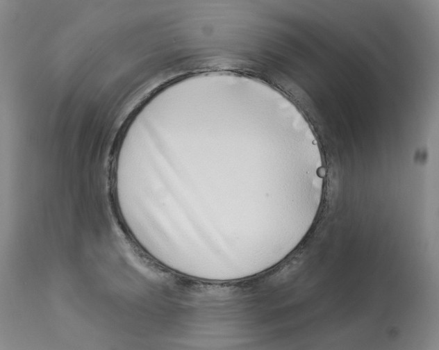 X0000112941039200910051150