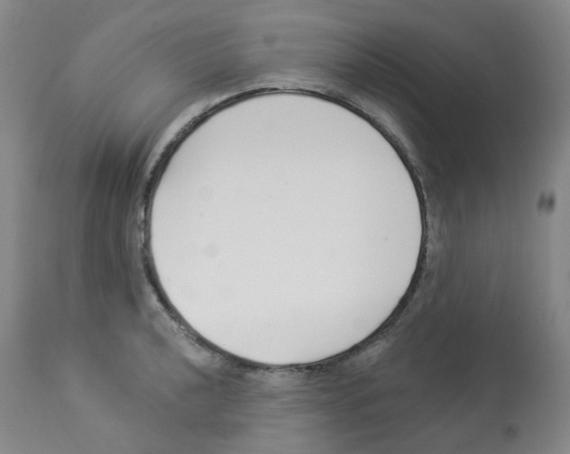 X0000112941040200910051150
