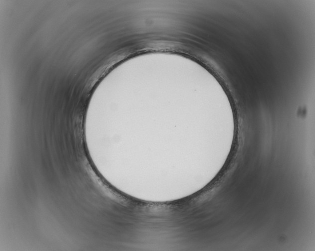 X0000112941041200910051150