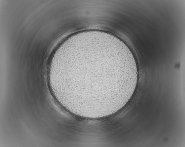 X0000112941043200910051150